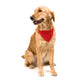 Collar Bandana Roco